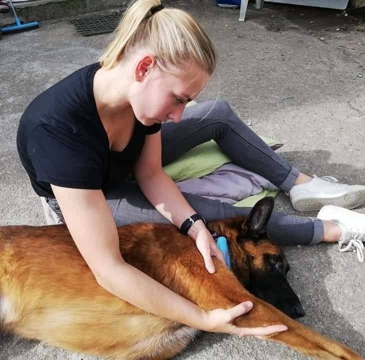 Manon Cibick soignant un berger malinois