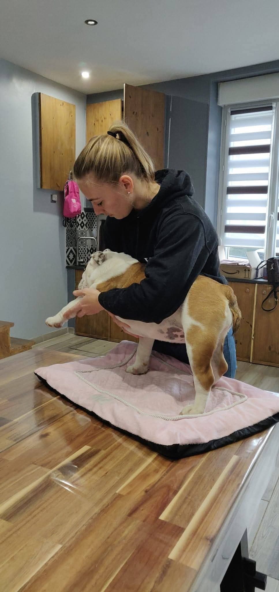 Manon Cibick avec un cheval dans un pré