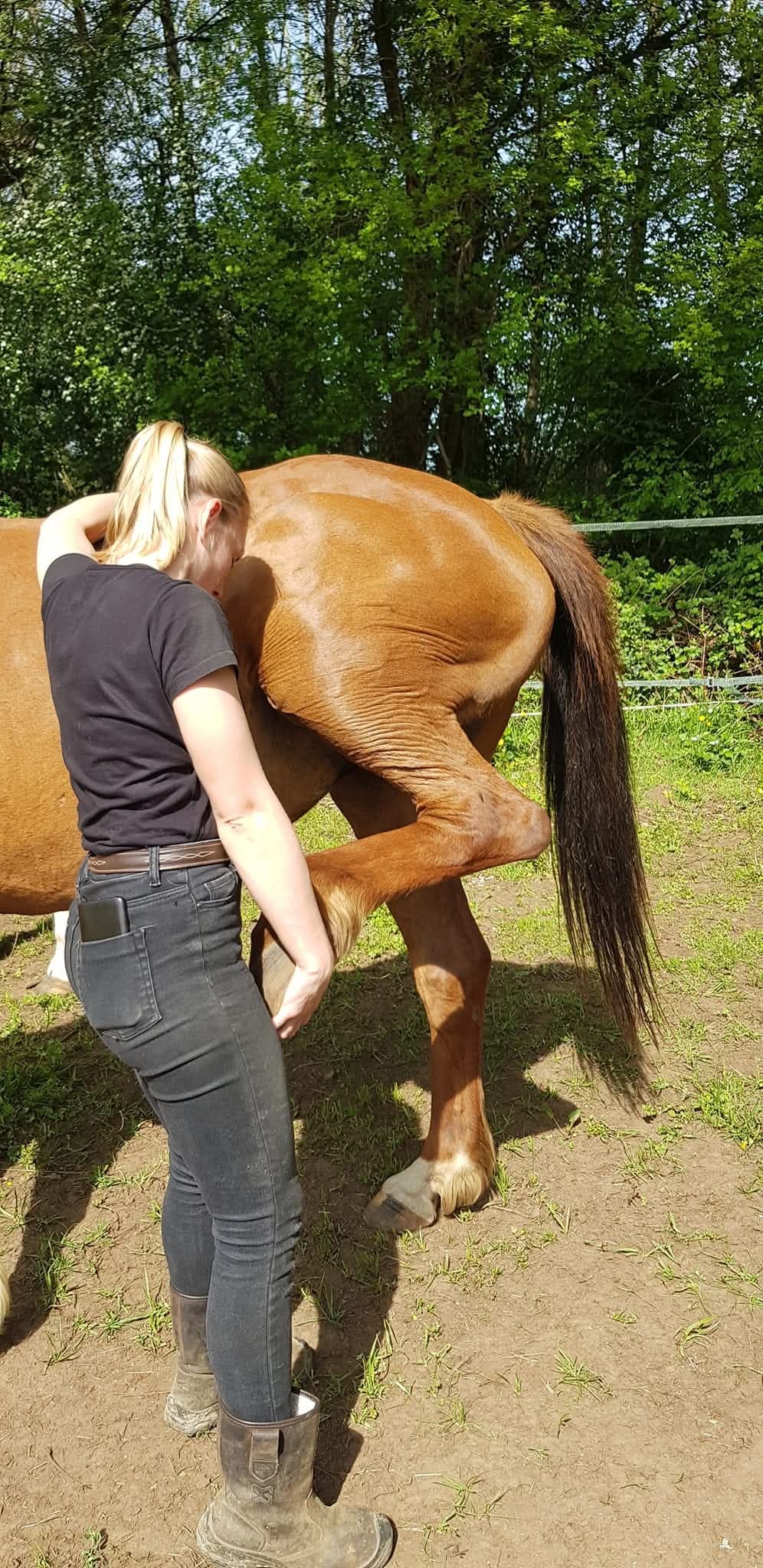 Manon Cibick soignant un cheval dans un manège