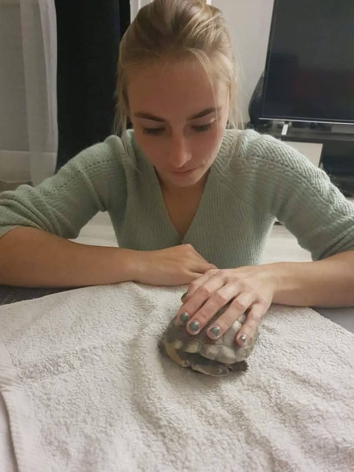Manon Cibick soignant une tortue